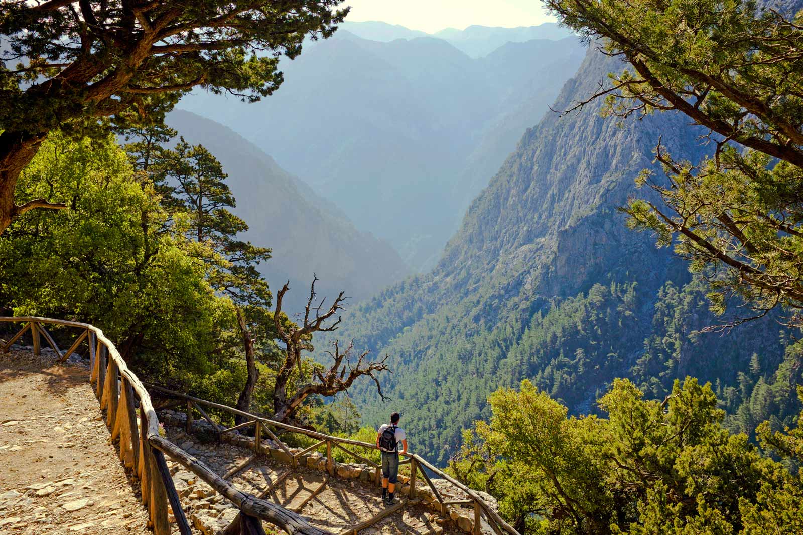 Samaria Gorge, man staring at the canyon berfore him